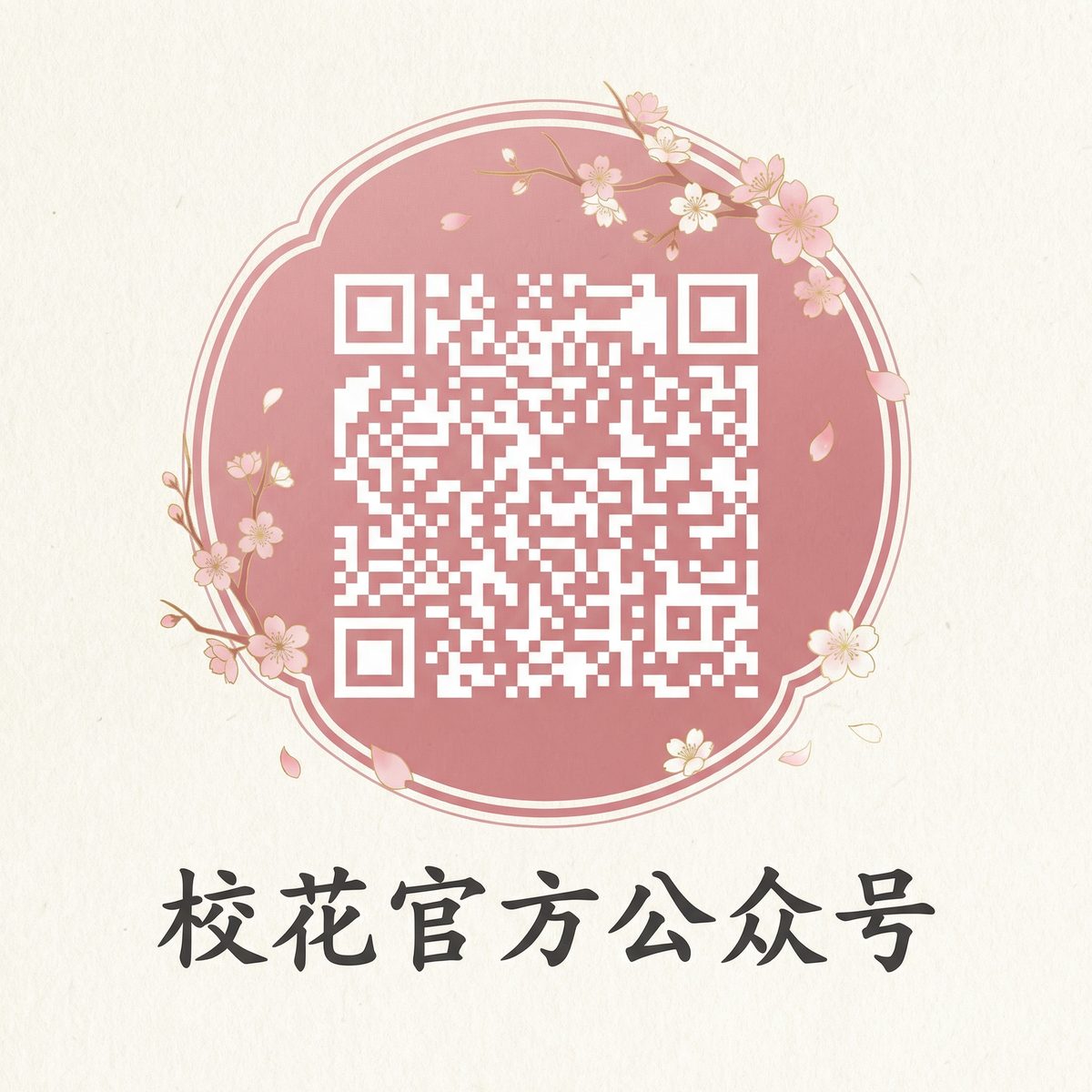 抖音风传媒微信公众号二维码扫码关注